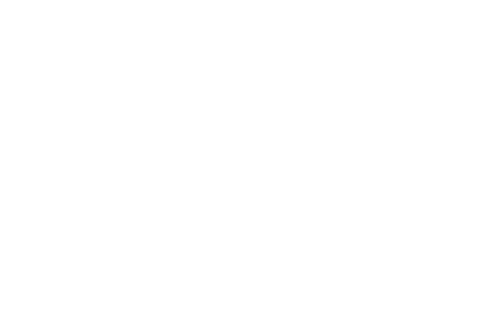 YNP — Yeni Nesil Pırlanta